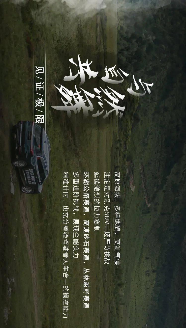 救援贪玩的大象